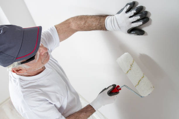 Renville, MN Mold Removal Company