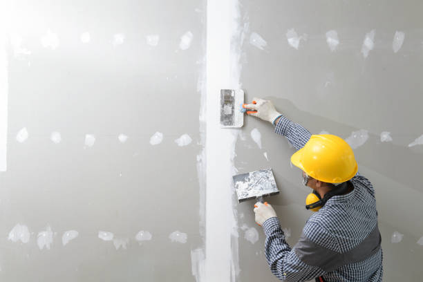 Best Comprehensive Air Testing for Mold Contaminants  in Renville, MN
