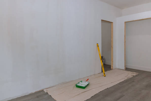 Best Attic Mold Removal  in Renville, MN