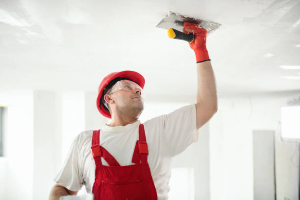 Mold Documentation for Insurance Claims in Renville, MN