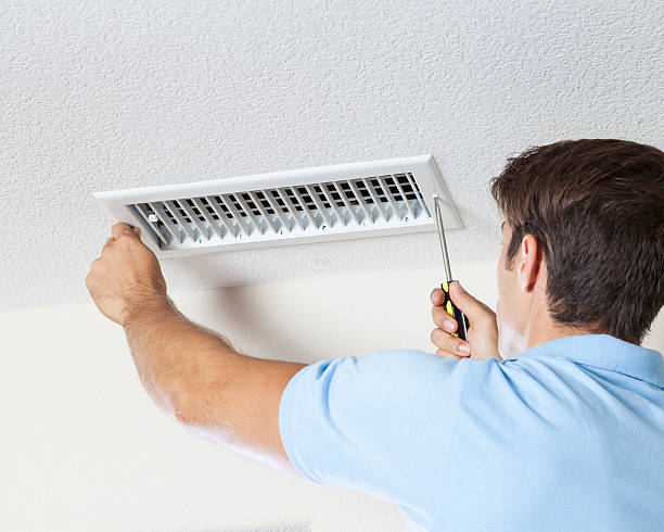 Best Mold-Related Health Consultation  in Renville, MN