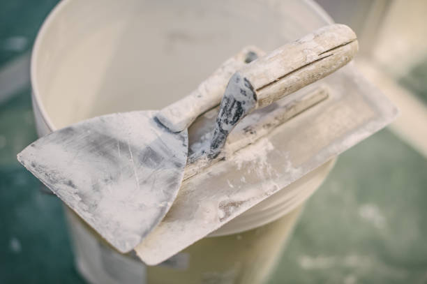 Best Asbestos and Lead Testing During Mold Inspection  in Renville, MN
